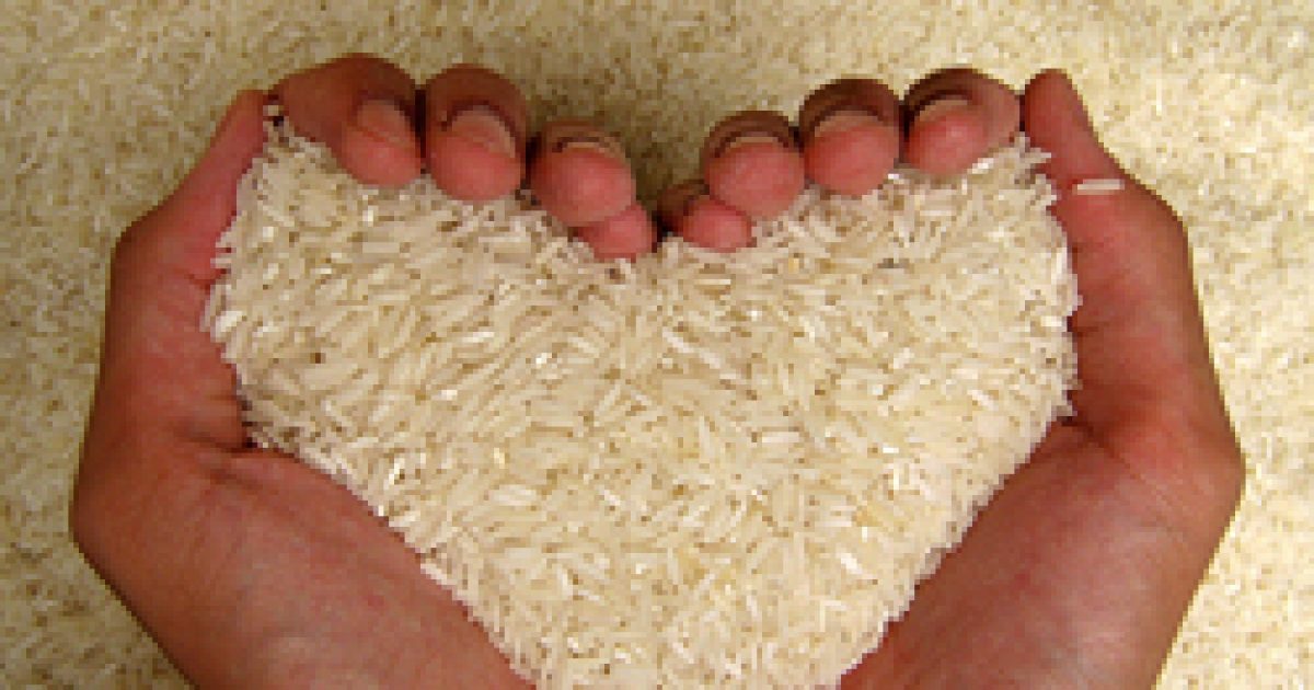 napos diéta natúr rizzsel