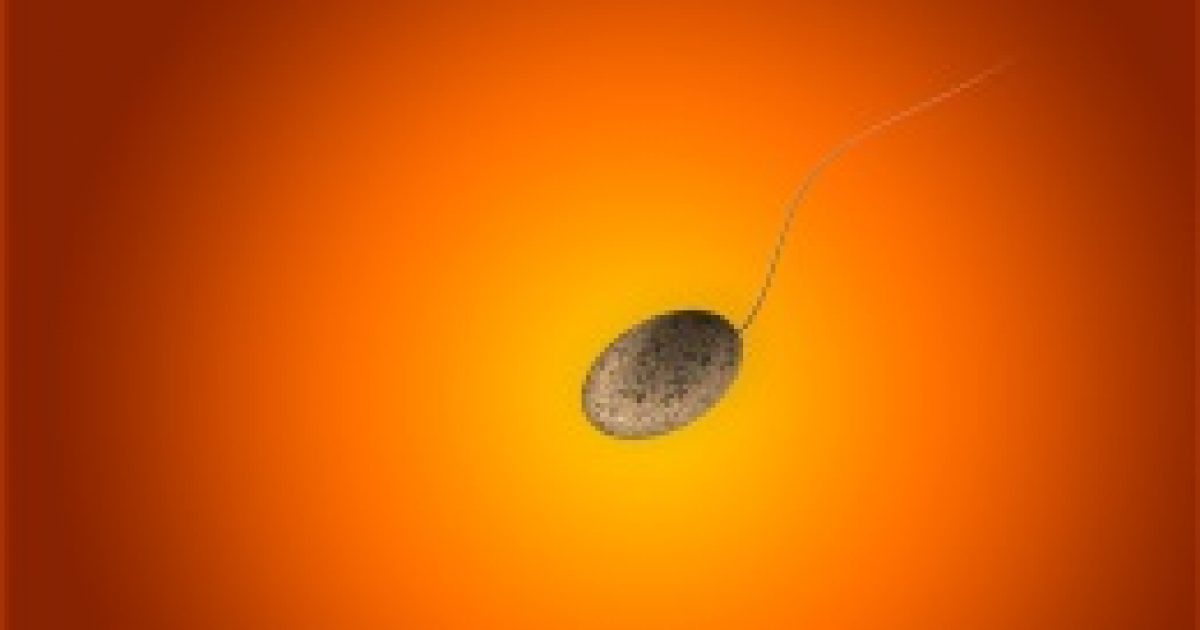 Spermát ölnek az UV-szűrők