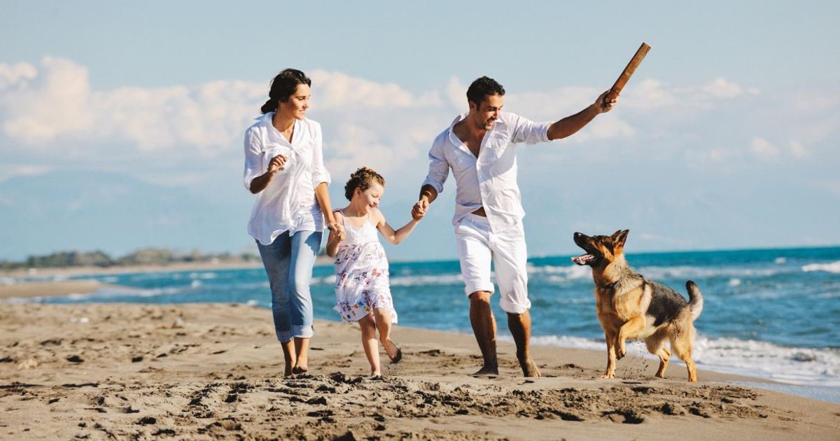 Egzotikus nyaralás kutyával, veszély nélkül? Ma már lehetséges! - MSD Animal Health Magyarország